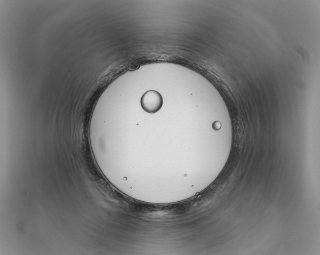 X0000111890312200908131700