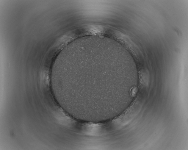 X0000111890313200908131700