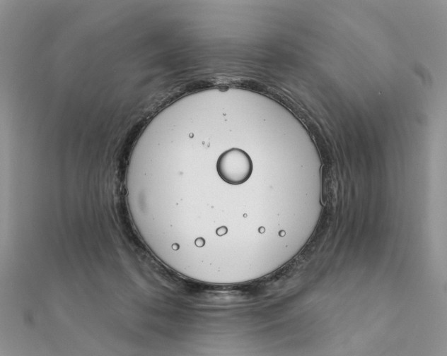 X0000111890316200908131700