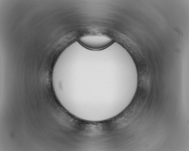 X0000111890317200908131700