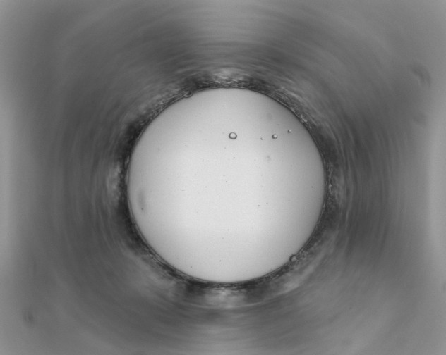 X0000111890319200908131700