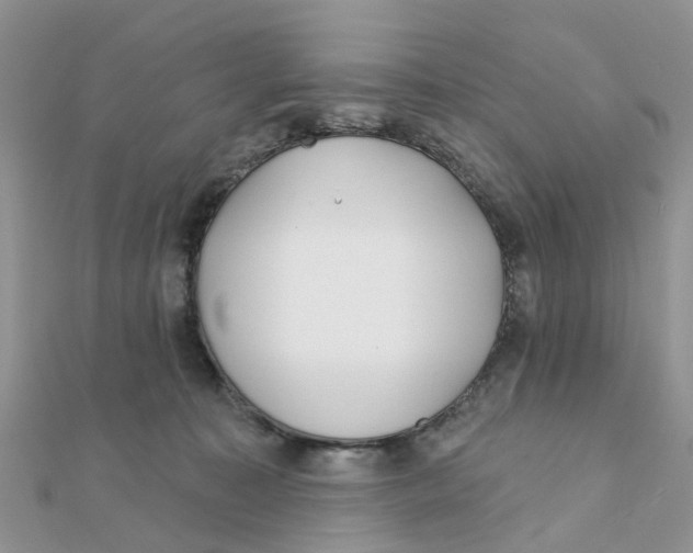 X0000111890323200908131700