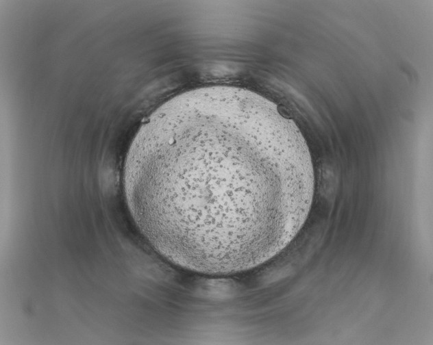 X0000111890324200908131700