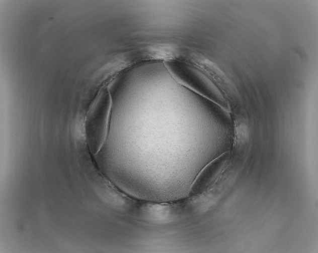 X0000111890325200908131700