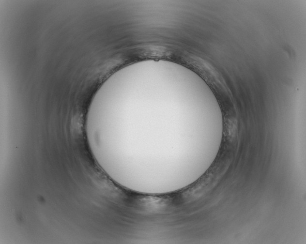 X0000111890326200908131700