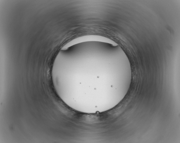 X0000111890327200908131700