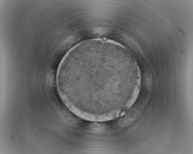 X0000111890328200908131700