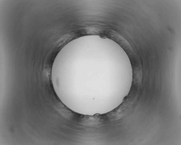 X0000111890329200908131700