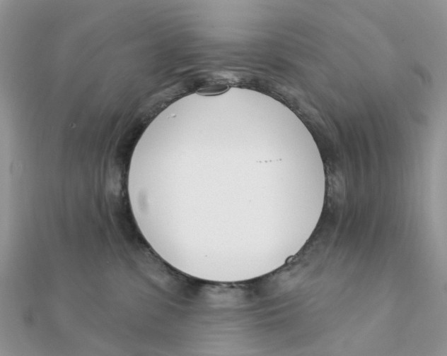 X0000111890331200908131700