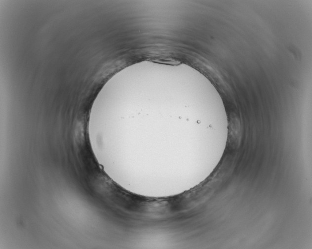 X0000111890333200908131700