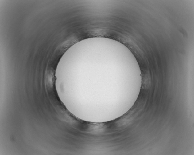 X0000111890334200908131700