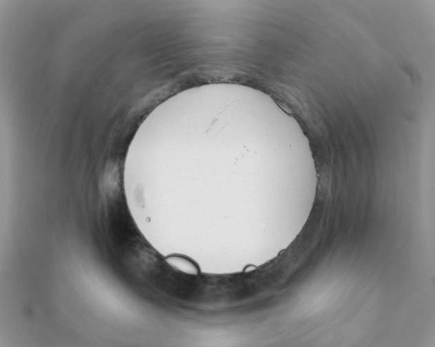 X0000111890335200908131700