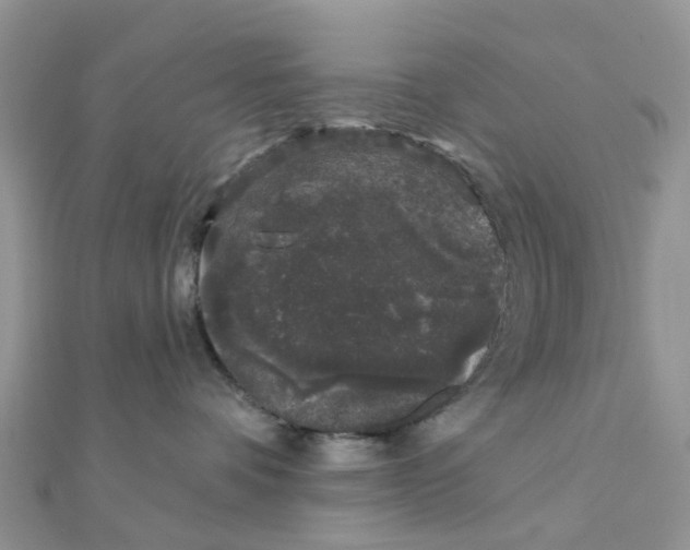 X0000111890336200908131700