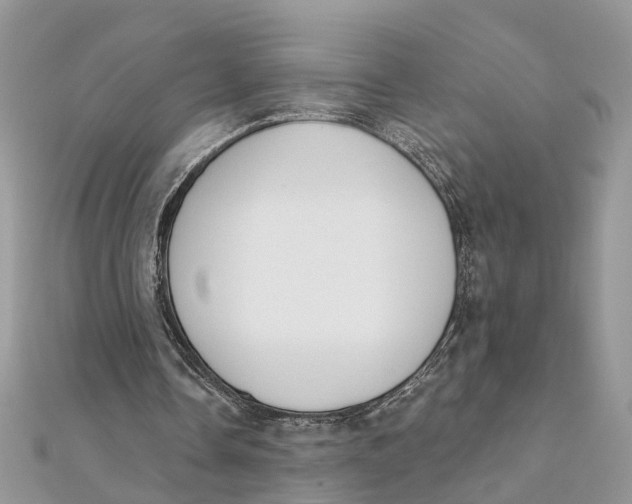 X0000111890338200908131659