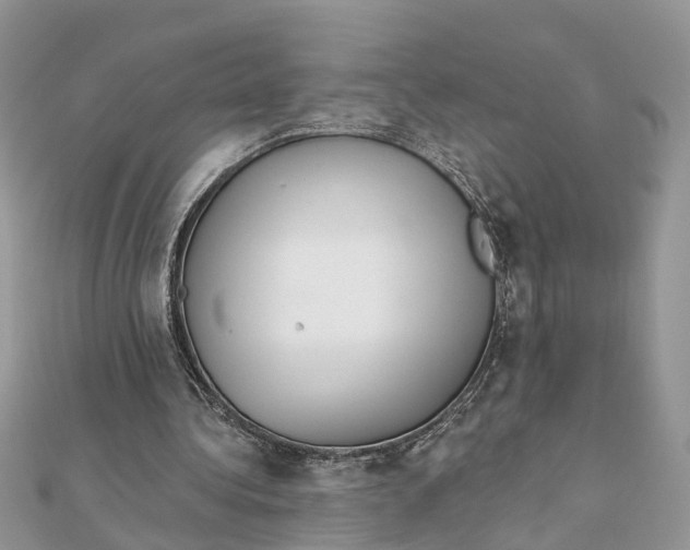 X0000111890340200908131659