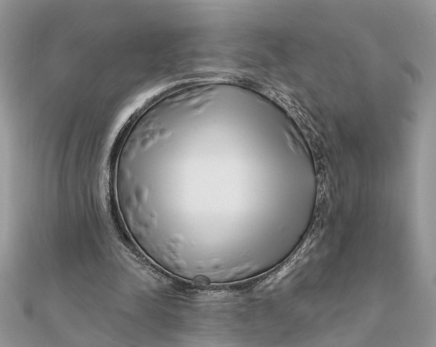 X0000111890342200908131659