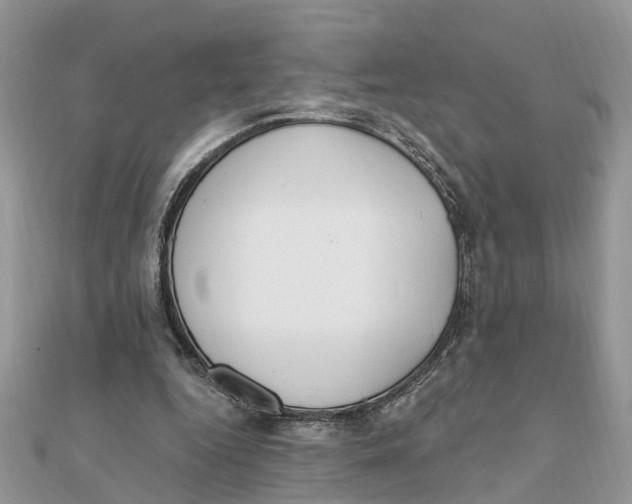 X0000111890344200908131659