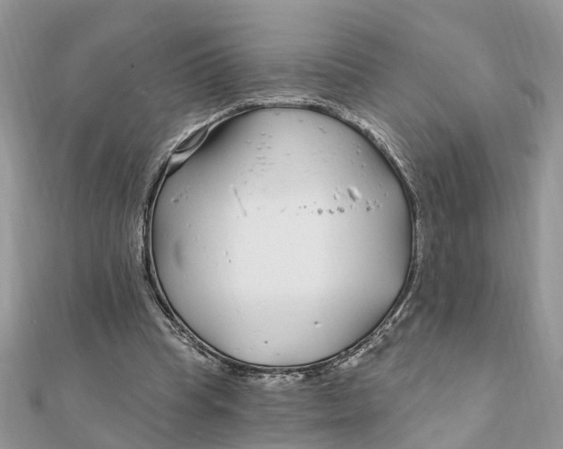 X0000111890345200908131659