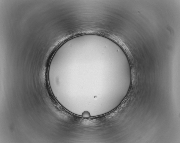 X0000111890346200908131659