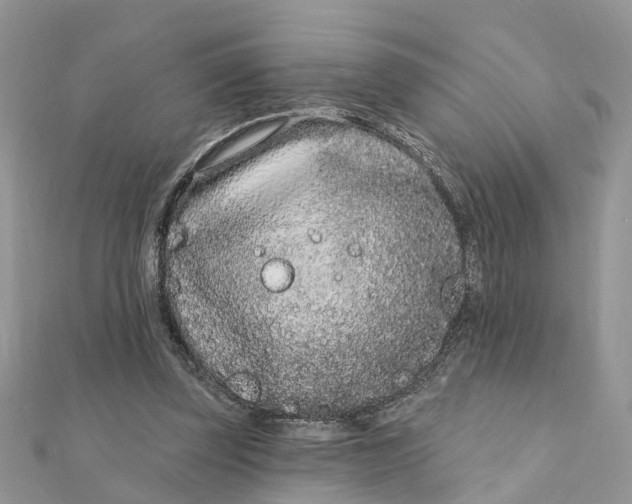 X0000111890347200908131659