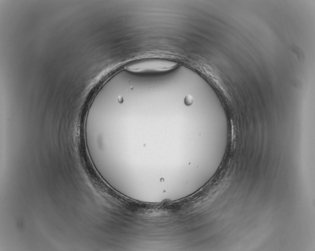 X0000111890348200908131659