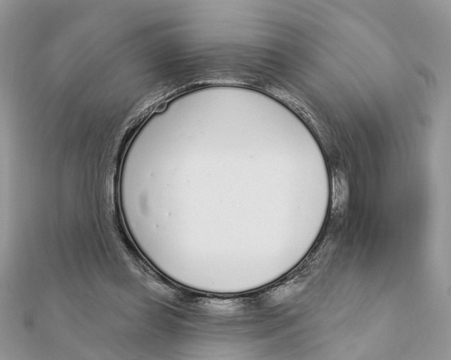 X0000111890349200908131659