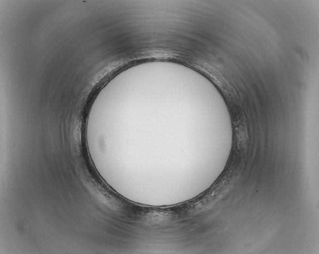 X0000111890350200908131700