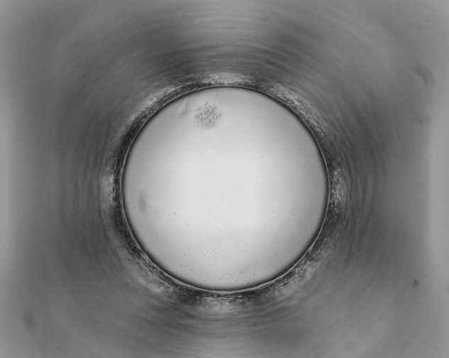 X0000111890351200908131700