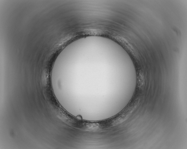 X0000111890355200908131700