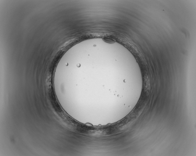 X0000111890356200908131700