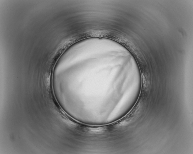 X0000111890357200908131700