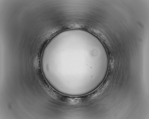 X0000111890359200908131700