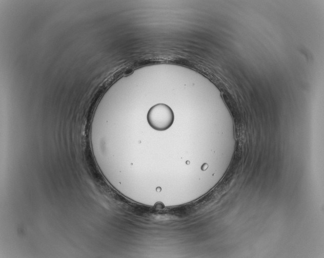 X0000111890360200908131700