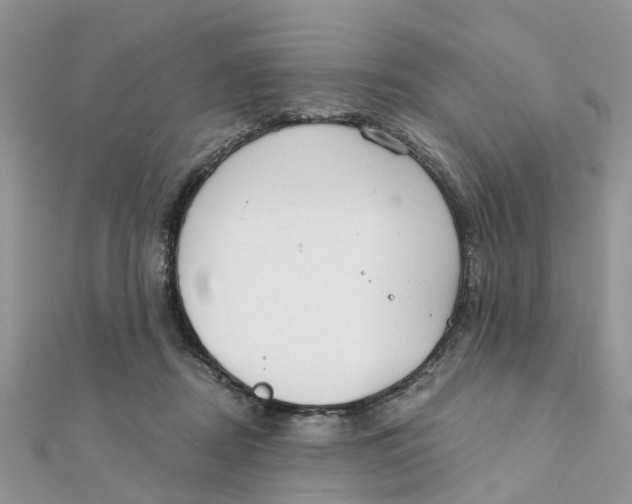 X0000111890362200908131700