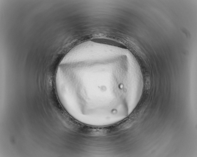 X0000111890363200908131700