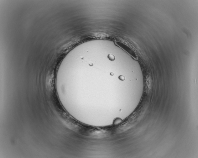 X0000111890364200908131700