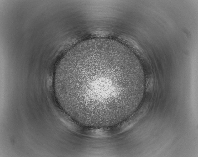 X0000111890365200908131700