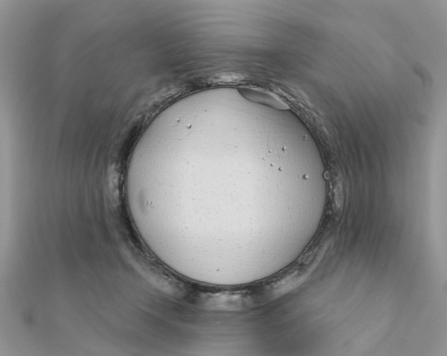 X0000111890366200908131700