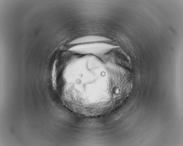 X0000111890367200908131700