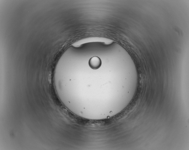 X0000111890368200908131700