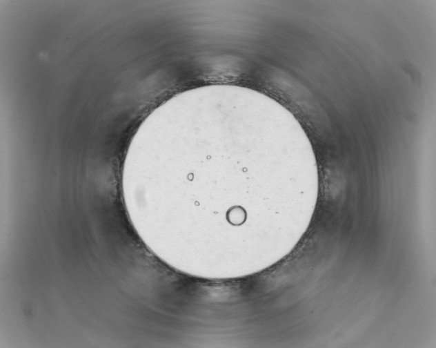 X0000111890370200908131700