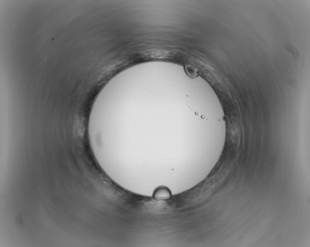 X0000111890374200908131700