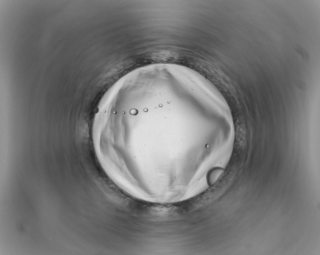 X0000111890375200908131700