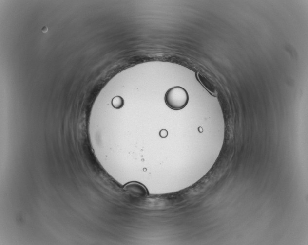 X0000111890376200908131700