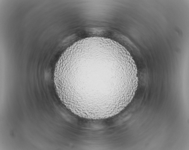 X0000111890377200908131700