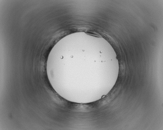 X0000111890379200908131700