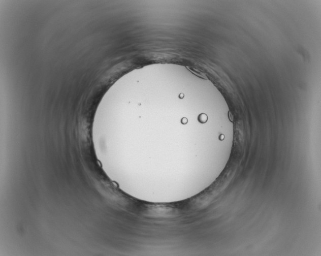 X0000111890380200908131700