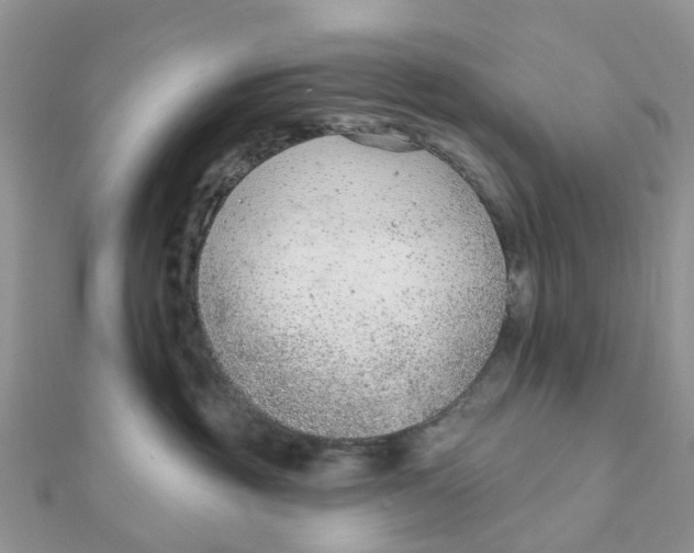 X0000111890381200908131700