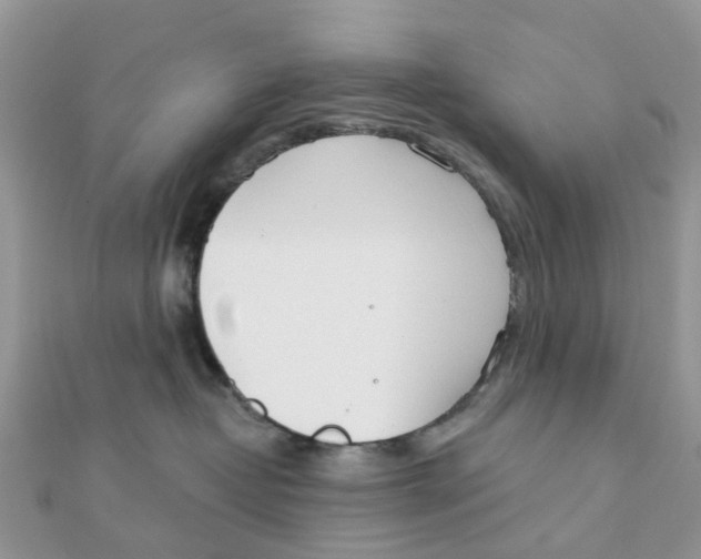 X0000111890382200908131700