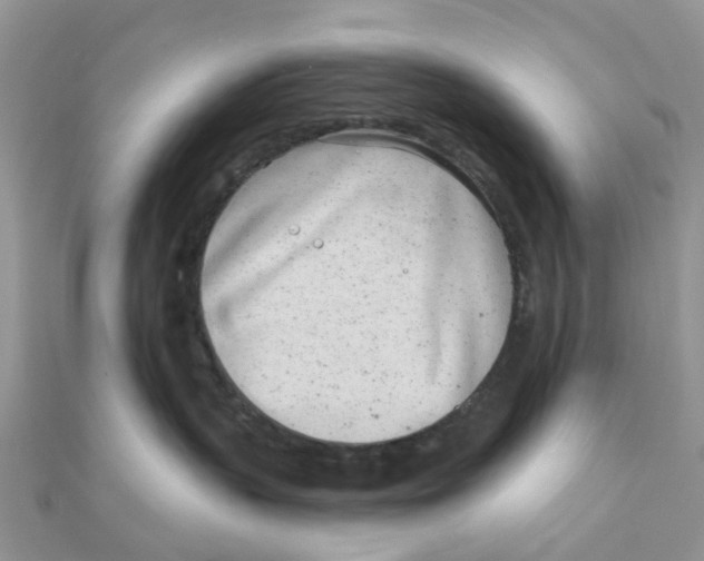 X0000111890383200908131700